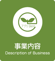 事業内容 Description of Business