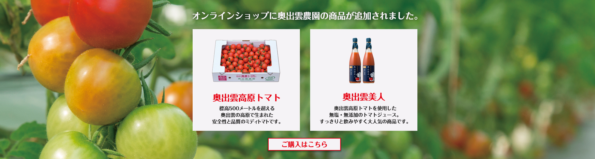 生産者と消費者に「安心」を提供